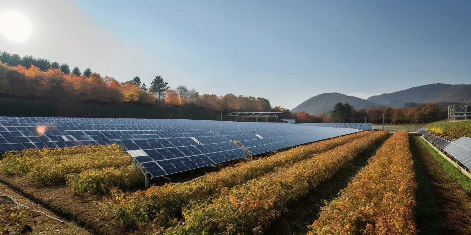 Jakiej firmy panele fotowoltaiczne