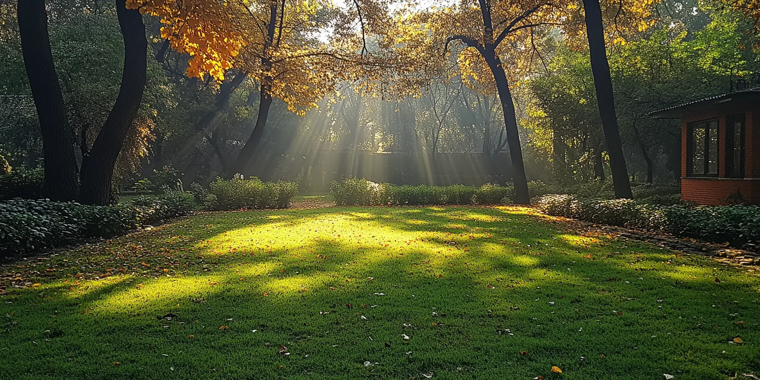 Trawa w rolce Szczecin
