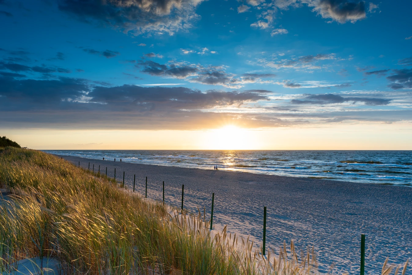 Co lepsze trawa z rolki czy siana?